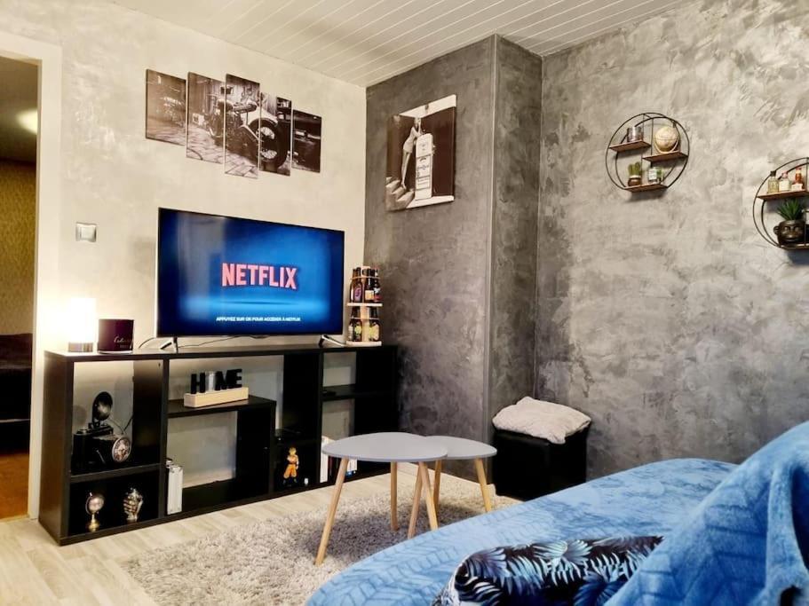 Appartement Proche Du Centre Ville Et Du Lac 제라르메르 외부 사진